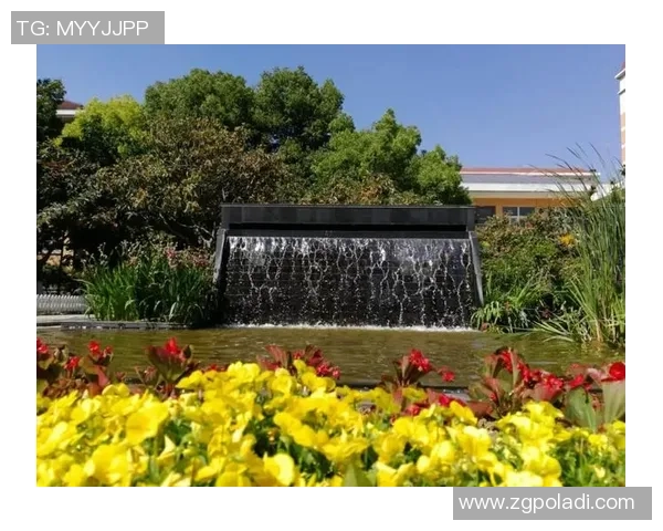 南京篮球队在联合会杯中的技术表现分析与评价